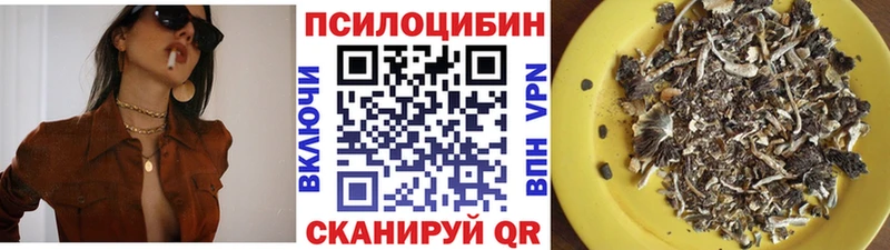 Псилоцибиновые грибы Cubensis  Покров 